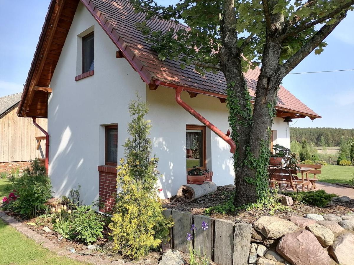 Domek Czerwony Kapturek Villa Plocice Dış mekan fotoğraf